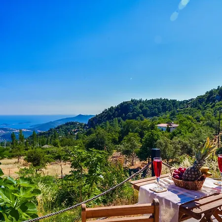 Turquoise Retreat & Wellness Pansiyon *