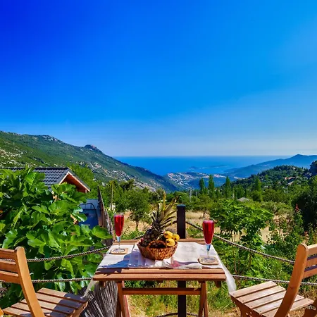 Turquoise Retreat & Wellness Pansiyon